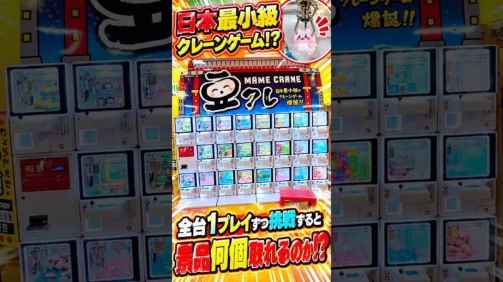 【衝撃】日本最小級のクレーンゲーム全台1プレイずつ挑戦したらまさかの結果に、、、#ufoキャッチャー # ゲーセン #ゲームセンター #arcade