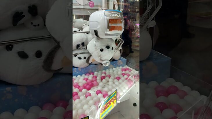 2025正月キャッチャー取れない〜攻略法が知りたい〜#shorts#クレーンゲーム#ufoキャッチャー#ゲーセン#ゲームセンター#ゲーム#ぬいぐるみ