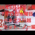 【クレーンゲーム】ベネクス川越！！2026年6月16日 火曜日、7月15日水曜日！ノーカット、ノー編集