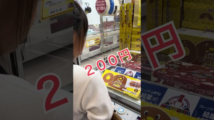 2026年9月14日