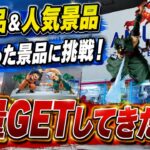 【クレーンゲーム】【#21】新景品＆人気景品に挑戦！ゾロ＆サンジのフィギュアをGETしてきた！【AMUUU紀伊川辺店】