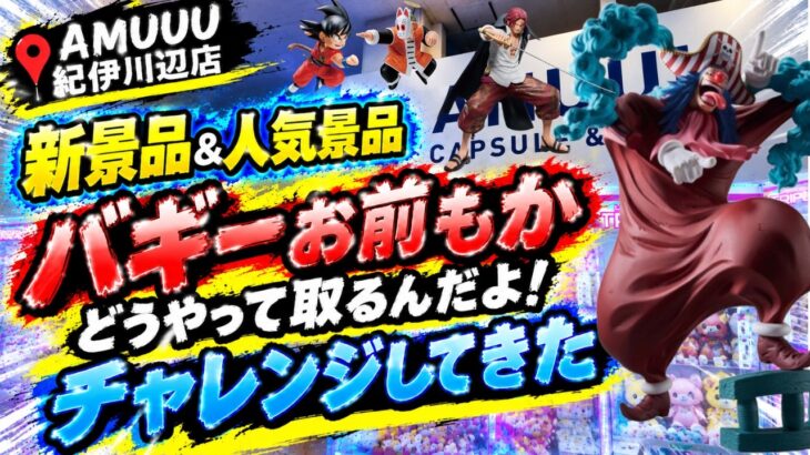 【クレーンゲーム】【#25】バギーお前もか…この箱どうやって取るんだよ！新景品＆人気景品に挑戦！【AMUUU紀伊川辺店】