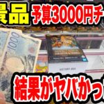【クレーンゲーム】最新プライズを予算3000円で攻略！結果がヤバすぎた！？🔥