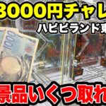 予算3000円で人気景品を乱獲！？ハピピランド東大宮店でガチ挑戦！【クレーンゲーム】