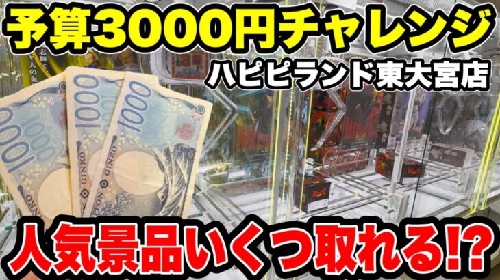 予算3000円で人気景品を乱獲！？ハピピランド東大宮店でガチ挑戦！【クレーンゲーム】