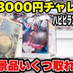 予算3000円チャレンジ！人気景品いくつ取れる！？ハピピランド東大宮店【クレーンゲーム】🔥