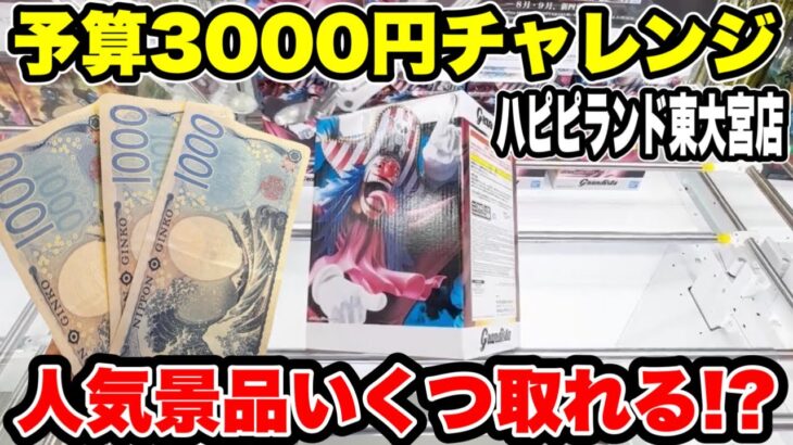 予算3000円チャレンジ！人気景品いくつ取れる！？ハピピランド東大宮店【クレーンゲーム】🔥
