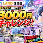 【クレーンゲーム】3000円で何個獲れる！？本気の3000円チャレンジ！ハピピランド徳島