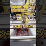 【4手攻略】 #橋渡し #クレーンゲーム #shorts  @cleuf2026