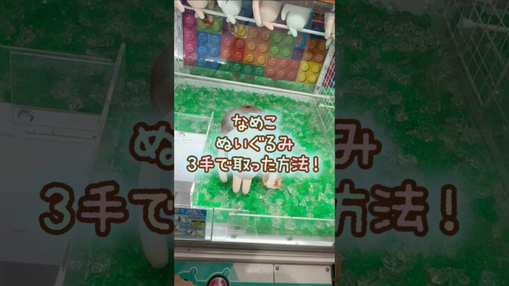 【クレーンゲーム】9/14 ラウンドワンでおさわり探偵なめこ栽培キットのなめこBIGぬいぐるみを3手で簡単に取る取り方のコツをお見せします！ #shorts