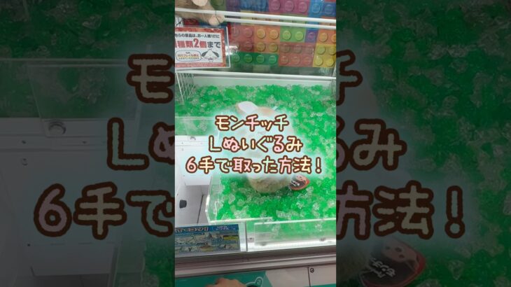 【クレーンゲーム】9/17 ラウンドワンでモンチッチ のLぬいぐるみを6手で簡単に取る取り方のコツをお見せします！ #shorts