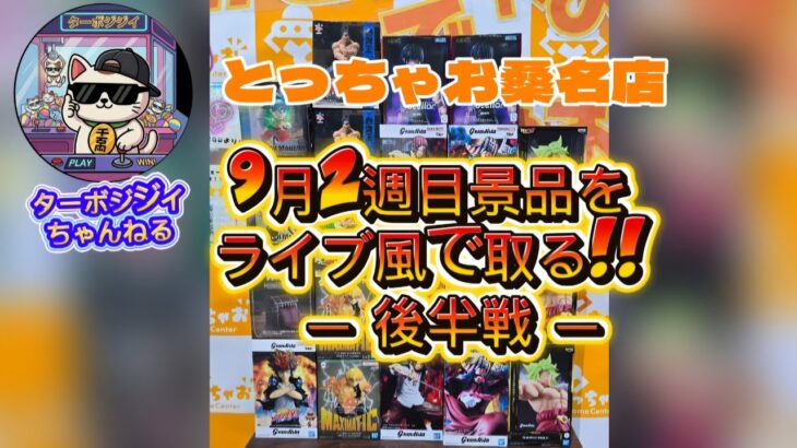 【クレーンゲーム】9月2週目の景品をライブ風で取る!!  ―後半戦― #ufoキャッチャー #クレーンゲーム#とっちゃお桑名店
