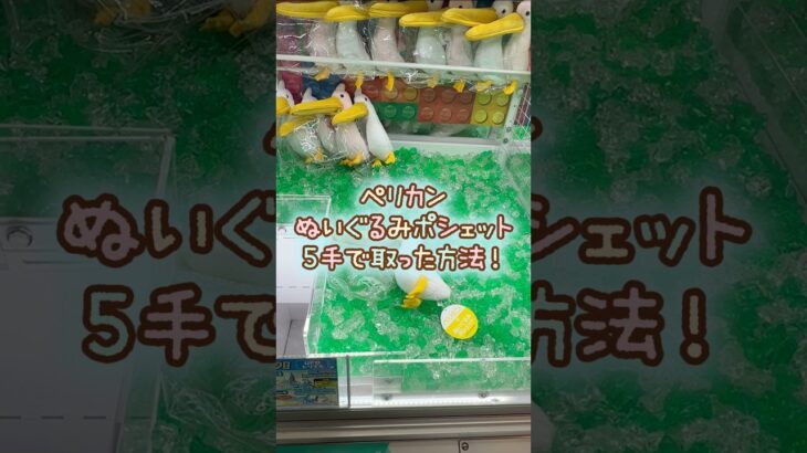 【クレーンゲーム】9/21 ラウンドワンでペリカンのぬいぐるみポシェットを5手で簡単に取る取り方のコツをお見せします！ #shorts