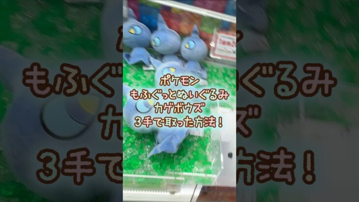 【クレーンゲーム】9/26 ラウンドワンでポケモンのもふぐっとぬいぐるみ カゲボウズを3手で簡単に取る取り方のコツをお見せします！ #shorts