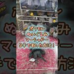 【クレーンゲーム】9/29 ラウンドワンでポケモンのもふぐっとぬいぐるみ マーシャドーを5手で簡単に取る取り方のコツをお見せします！ #shorts
