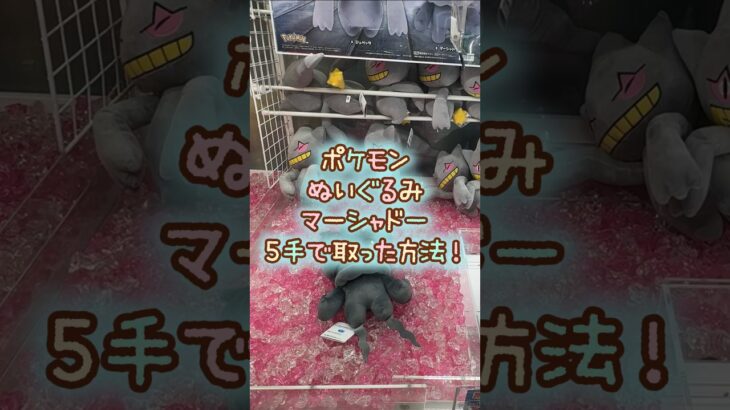 【クレーンゲーム】9/29 ラウンドワンでポケモンのもふぐっとぬいぐるみ マーシャドーを5手で簡単に取る取り方のコツをお見せします！ #shorts