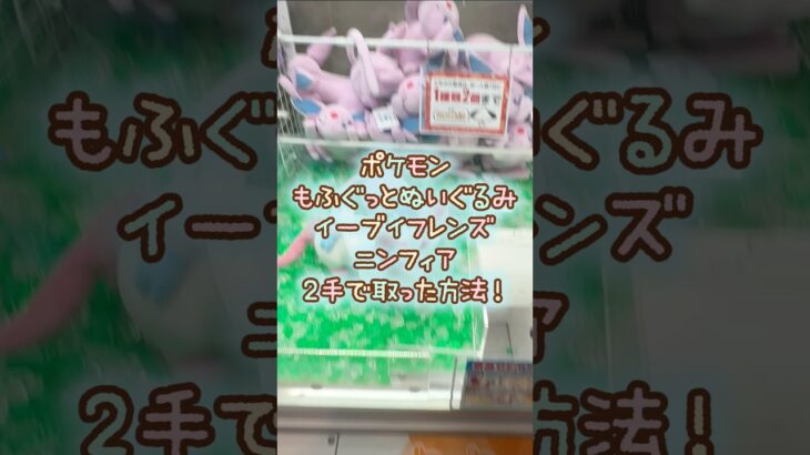 【クレーンゲーム】9/7 ラウンドワンでポケモンのもふぐっとぬいぐるみ イーブイフレンズ ニンフィアを2手で簡単に取る取り方のコツをお見せします！ #shorts