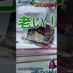 【クレゲ攻略97】初心者が知らない技で世界一有名な気持てぃぃぃアレやってみた2！楊端和⚔️8割が知らず損してます【肘回し～💡】クレゲで役立つ攻略等やってます🔥チャンネル登録して頂けたら泣いて喜びます😂