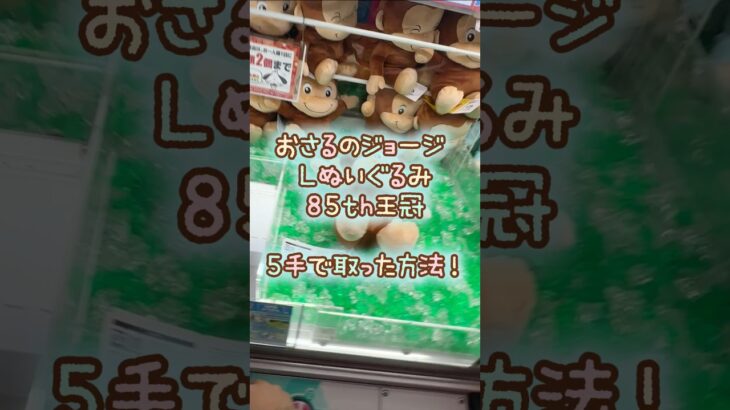【クレーンゲーム】9/9 ラウンドワンでおさるのジョージのLぬいぐるみ 85th 王冠を5手で簡単に取る取り方のコツをお見せします！ #shorts