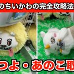 最速！ちいかわ・でかつよ・あのこBIGぬいぐるみを確率無視する方法４選！【クレーンゲーム】
