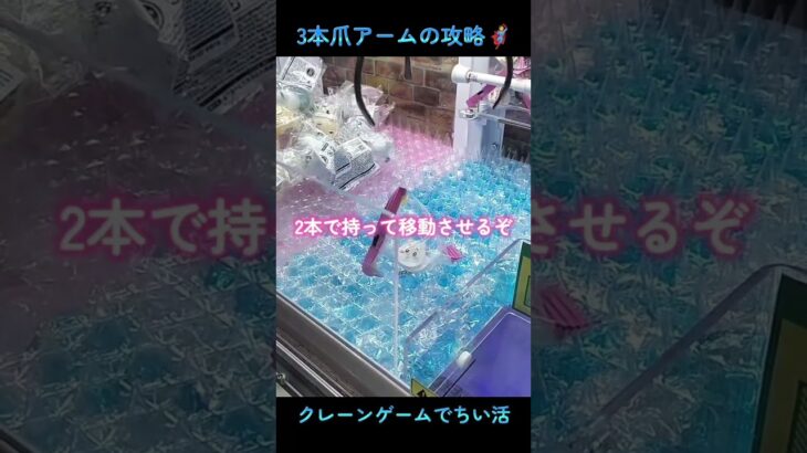 クレーンゲームでちい活🦸島二郎BIGぬいぐるみ他ゲット💪✨️#ちいかわクレーンゲーム
