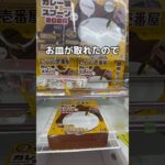 CoCo壱のカレーを作ってみた#クレーンゲーム #UFOキャッチャー #ゲームセンター #攻略