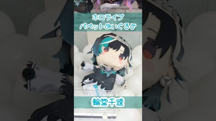 FLOW GLOW 輪堂千速ちゃんのパペットぬいぐるみ出たよ！ #輪堂千速 #ホロライブ #クレーンゲーム #shorts