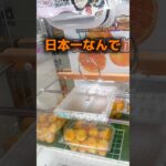 【クレーンゲーム】フック設定でみかん大量GET！？おたちゅう新潟本店が熱すぎる！🔥