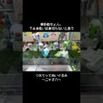 【裏切らない】シンプルな攻めでGETできる！これがクレゲの基本プレイ～ニャオハとの戦い～　#ポケモン#pokemon #ポケットモンスター #クレーンゲーム#ぬいぐるみ