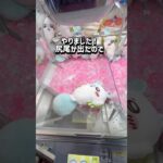 【人気景品】行列が出来ていたちいかわ昆布締めグッズGETしてきた！チャンネル登録もお願いします！ #クレーンゲーム #ゲームセンター #ufoキャッチャー #ゲーセン #ちいかわ #chiikawa