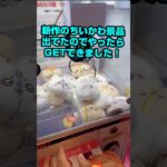 ちいかわの新景品がでたのでGETしました！#shorts