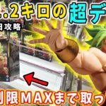 【クレーンゲーム】超デカ箱のドラゴンボール Grandista ブロリーを最速初日攻略！個数制限MAXまで取ってみた結果がこちら。 万代書店川越店 倉庫系  リボーン