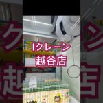 【クレーンゲーム】フック設定🪝ロングチェーン⛓️🎪Iクレーン越谷店Iクレーン越谷店#クレーンゲーム #Iクレーン#越谷店#冷凍#雑貨