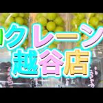 【クレーンゲーム】ゲーセンでくだもの狩り🍇フック設定🪝ロングチェーン⛓️🎪Iクレーン越谷店Iクレーン越谷店#クレーンゲーム #Iクレーン#越谷店#冷凍#雑貨