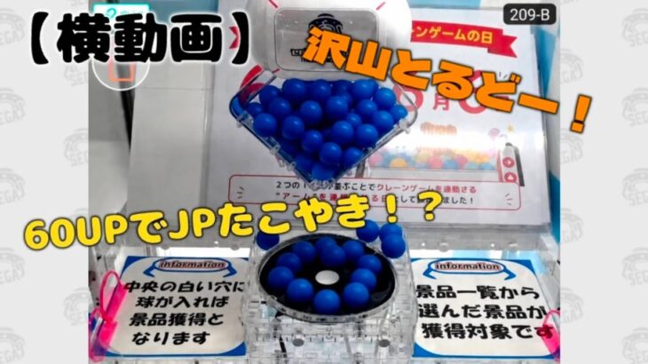 激安JPたこやき特集！