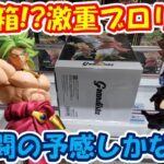 【クレーンゲーム】【倉庫系】 #もってきーな韮崎 で激重!! #ブロリー やってみたら!?激闘だった!!  #沢田綱吉 #家庭教師ヒットマンREBORN  #ドラゴンボール