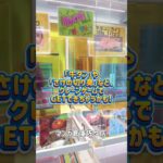 【マンガ倉庫佐々店】🎉 クレーンゲームに注目景品が大集合！ 🎉#マンガ倉庫佐々店 #マンガ倉庫 #長崎 #UFOキャッチャー #クレーンゲーム #ミニクレーン