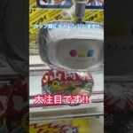 #北海道 #札幌市 #厚別区 #新札幌 #万代 #ゲームセンター #ゲーセン #ゲーム #クレーンゲーム #UFOキャッチャー #カップ麺 #ラーメン #山岡家 #簡単 #必見#チャレンジ#挑戦#攻略