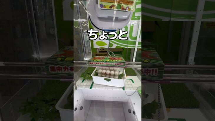 高級シャインマスカットを乱獲してみた#クレーンゲーム #UFOキャッチャー #ゲームセンター #攻略
