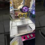 京都で景品乱獲#クレーンゲーム #UFOキャッチャー #ゲームセンター #京都 #サープラ京都あそびタウン