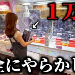 【クレーンゲーム】正解はどれ!?人気景品を狙ったら壮絶な展開になりました…【UFOキャッチャー】