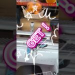 ​【ノーカット】クレーンゲームで高級フルーツ（オレンジ・梨）を激安ゲット！【UFOキャッチャー攻略】
