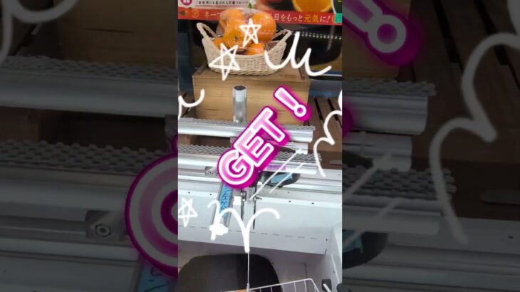 ​【ノーカット】クレーンゲームで高級フルーツ（オレンジ・梨）を激安ゲット！【UFOキャッチャー攻略】