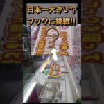 日本一大きなフック設定のUFOキャッチャーに挑戦！！
