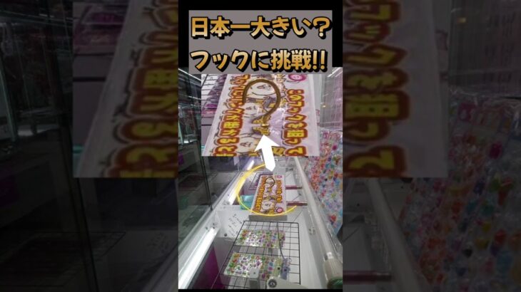 日本一大きなフック設定のUFOキャッチャーに挑戦！！