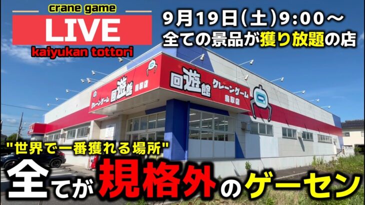 【クレーンゲーム】全台無制限のヤバすぎる店！チャンス台を探しあてます！【回遊館鳥取店・UFOキャッチャー】