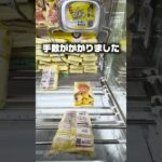 【ハイエナ失敗】一発で獲るつもりが大苦戦…！？ #クレーンゲーム #UFOキャッチャー #Shorts