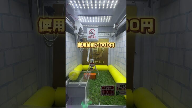 【検証】エルメスの景品は取れるのか#UFOキャッチャー #クレーンゲーム #Switch #Switch2 #iPhone #PS5