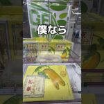 ルーレットを視力で攻略してみた#UFOキャッチャー #クレーンゲーム  #ゲームセンター #攻略 #shorts  #youtubeshorts