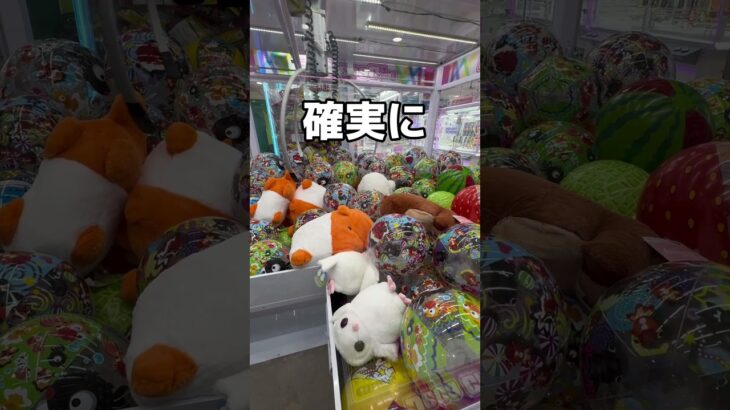 巨大な羊をロックオンして取ってみた#UFOキャッチャー #クレーンゲーム  #ゲームセンター #攻略 #shorts  #youtubeshorts
